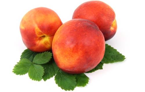 fresh peaches