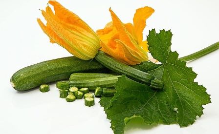 fresh zucchini or courgette