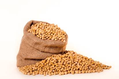 sack of soybeans