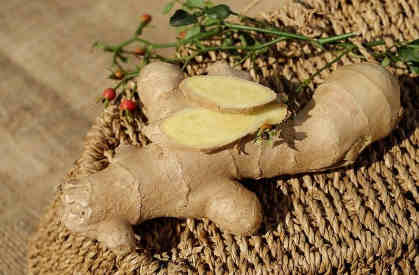 fresh ginger root