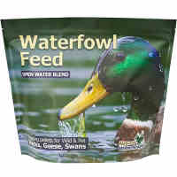 natural waterscapes waterfowl feed