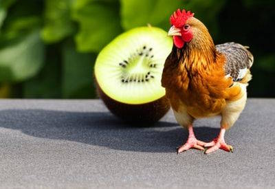 can chickens eat kiwi