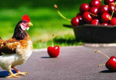 can chickens eat cherries featured