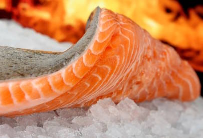 fresh salmon